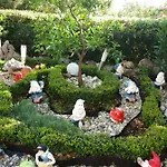 Colic Crikvenica